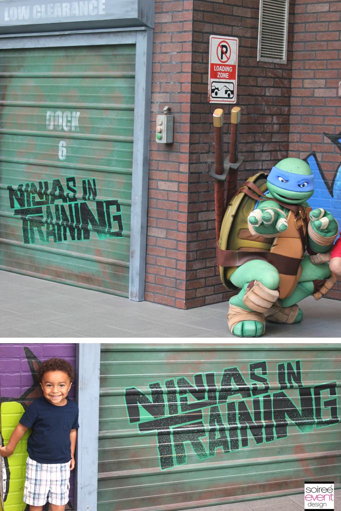 Ninja-Turtle-Leonardo
