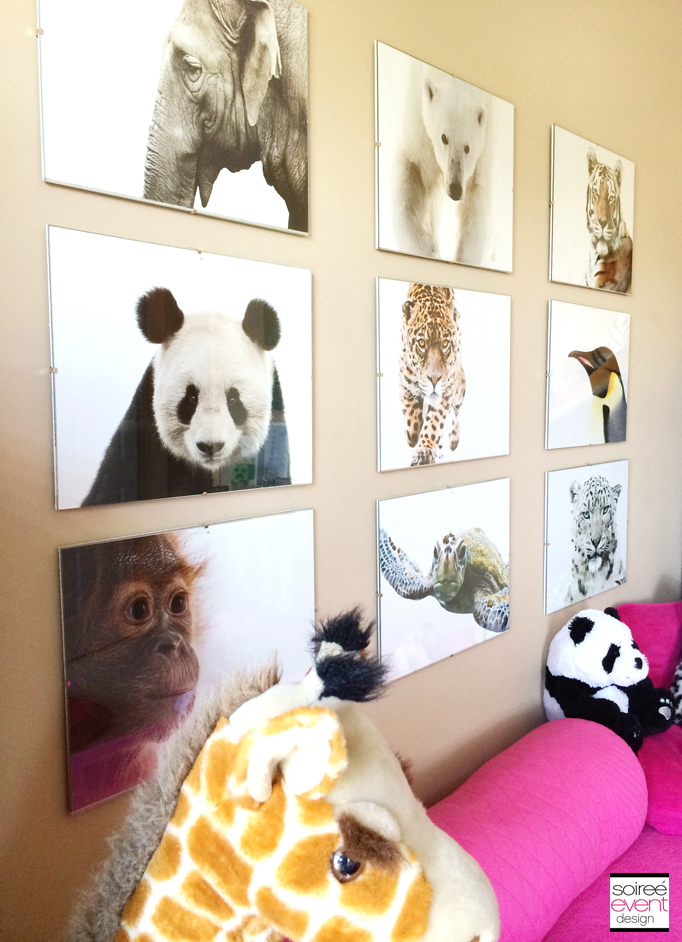 Animal Photo Wall