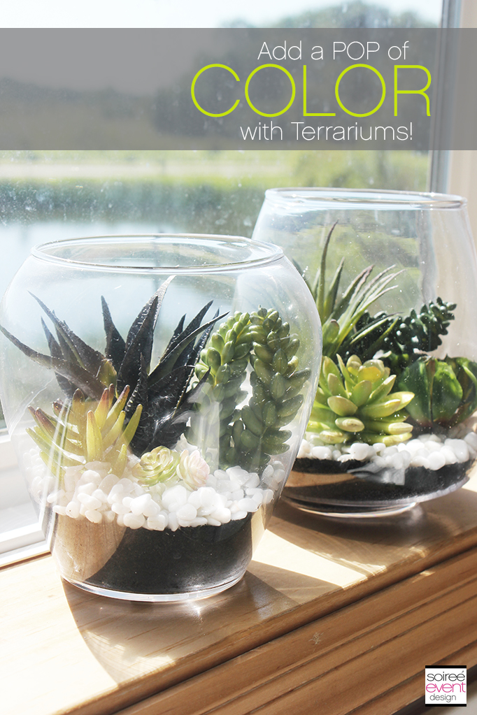 Color with Terrariums