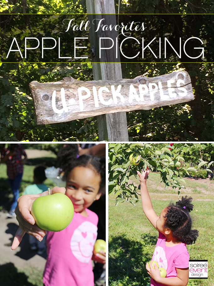 Fall Favorites - Apple Picking