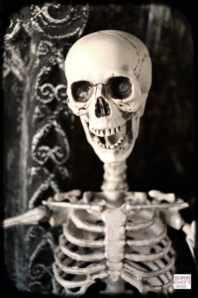 Haunted Farmhouse Party skeleton