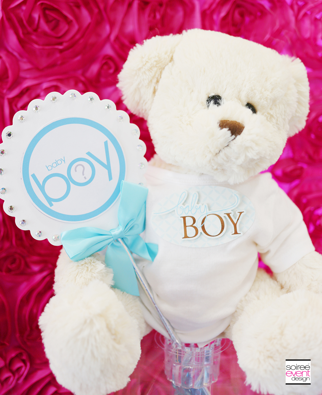 Gender Reveal Party Decorations - Boy