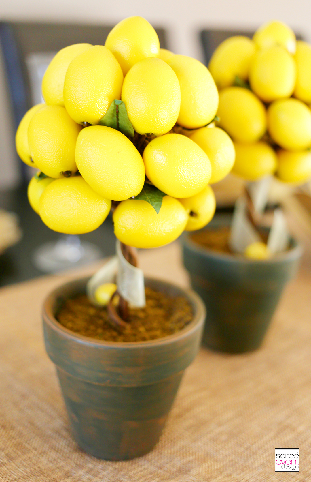 Summer Dinner Party - Lemon Topiary Trees